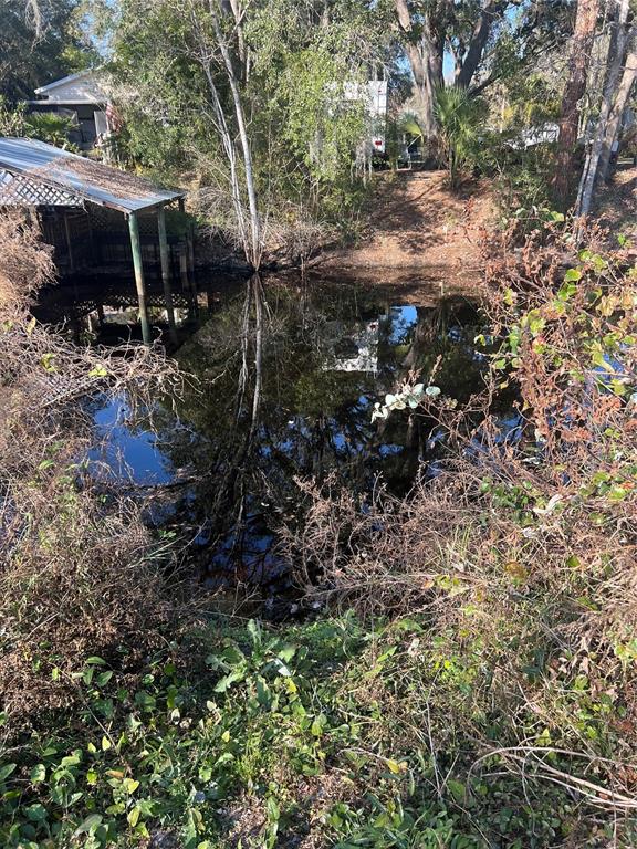 118 Creekside Road Satsuma, FL 32189 - Photo 3 of 31 a view of path in between the bunch of trees