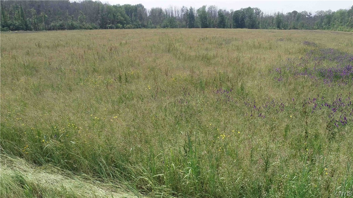 L18 Co Rt 12 Road Pennellville, NY 13132 - Photo 2 of 6
