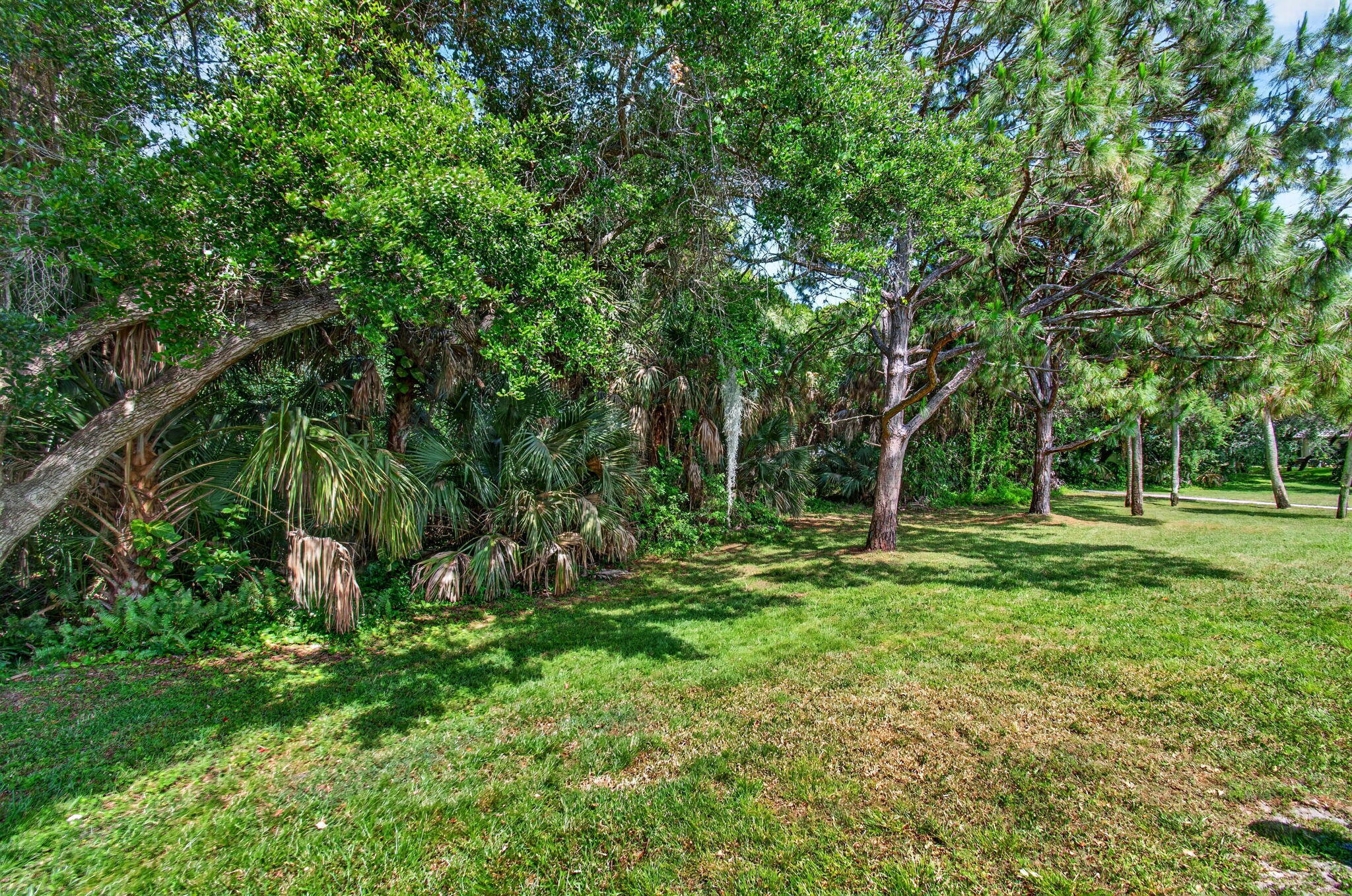 460 Hardwood Place Boca Raton, FL 33431 - Photo 59 of 85 59-web-or-mls-DSC_5083
