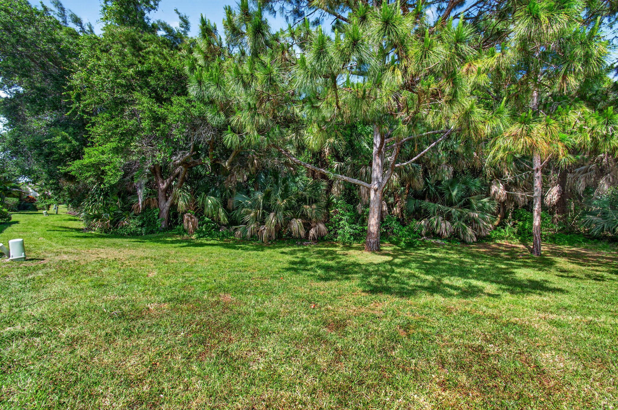 460 Hardwood Place Boca Raton, FL 33431 - Photo 60 of 85 60-web-or-mls-DSC_5088