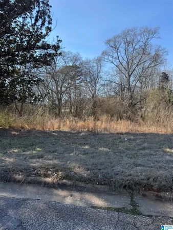 $8,000 | 625 West Avenue, Roanoke, AL 36274