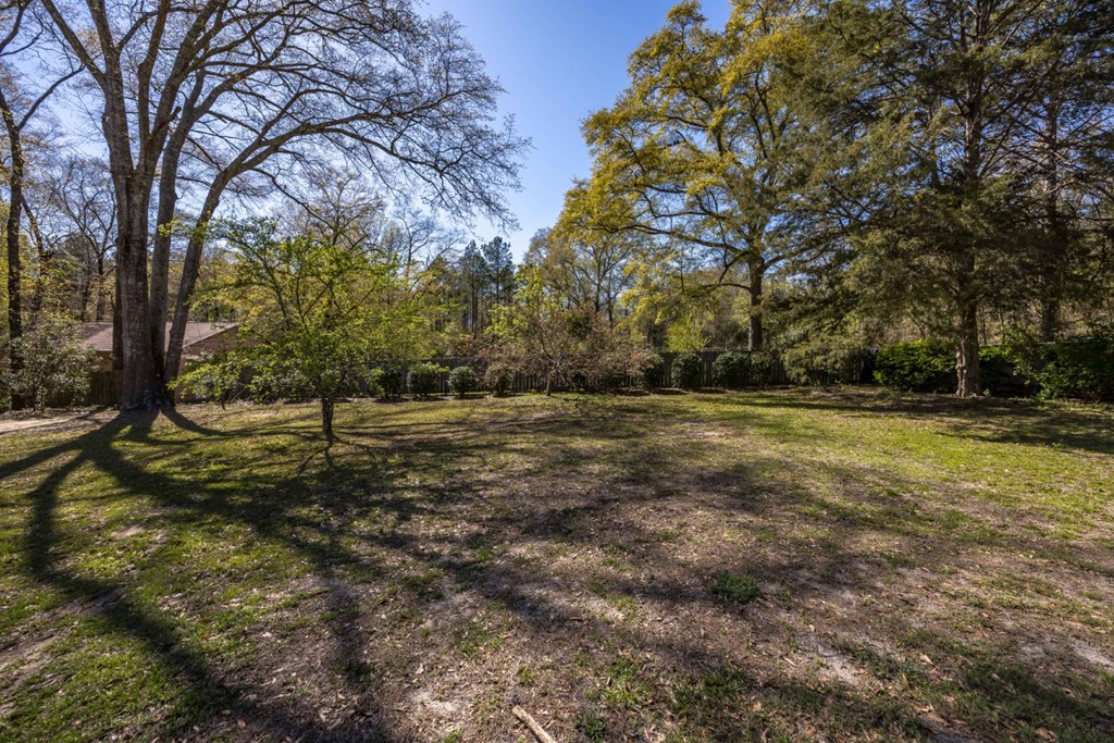 6017 Psalmond Road Midland, GA 31820 - Photo 54 of 57