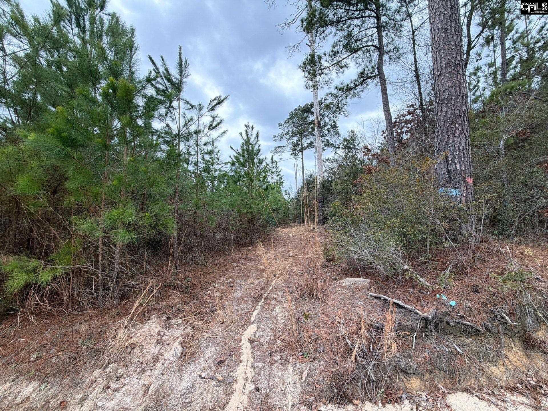 3 Jc Barefoot Road, Unit BFF II 3 Patrick, SC 29584 - Photo 4 of 23