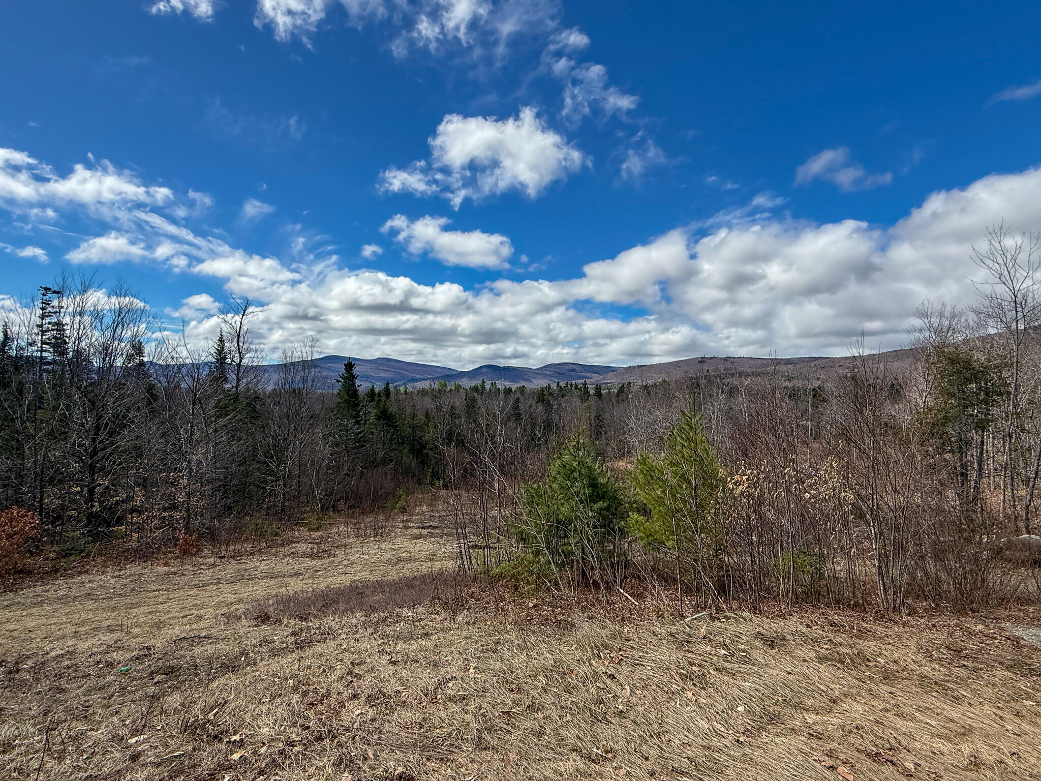 Lot 39 Sawyer Notch Road Andover, ME 04216 - Photo 8 of 8 IMG_9472