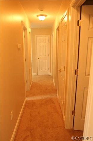 1274 Piney Grove Road Rice, VA 23966 - Photo 9 of 9 Gallery Image 9
