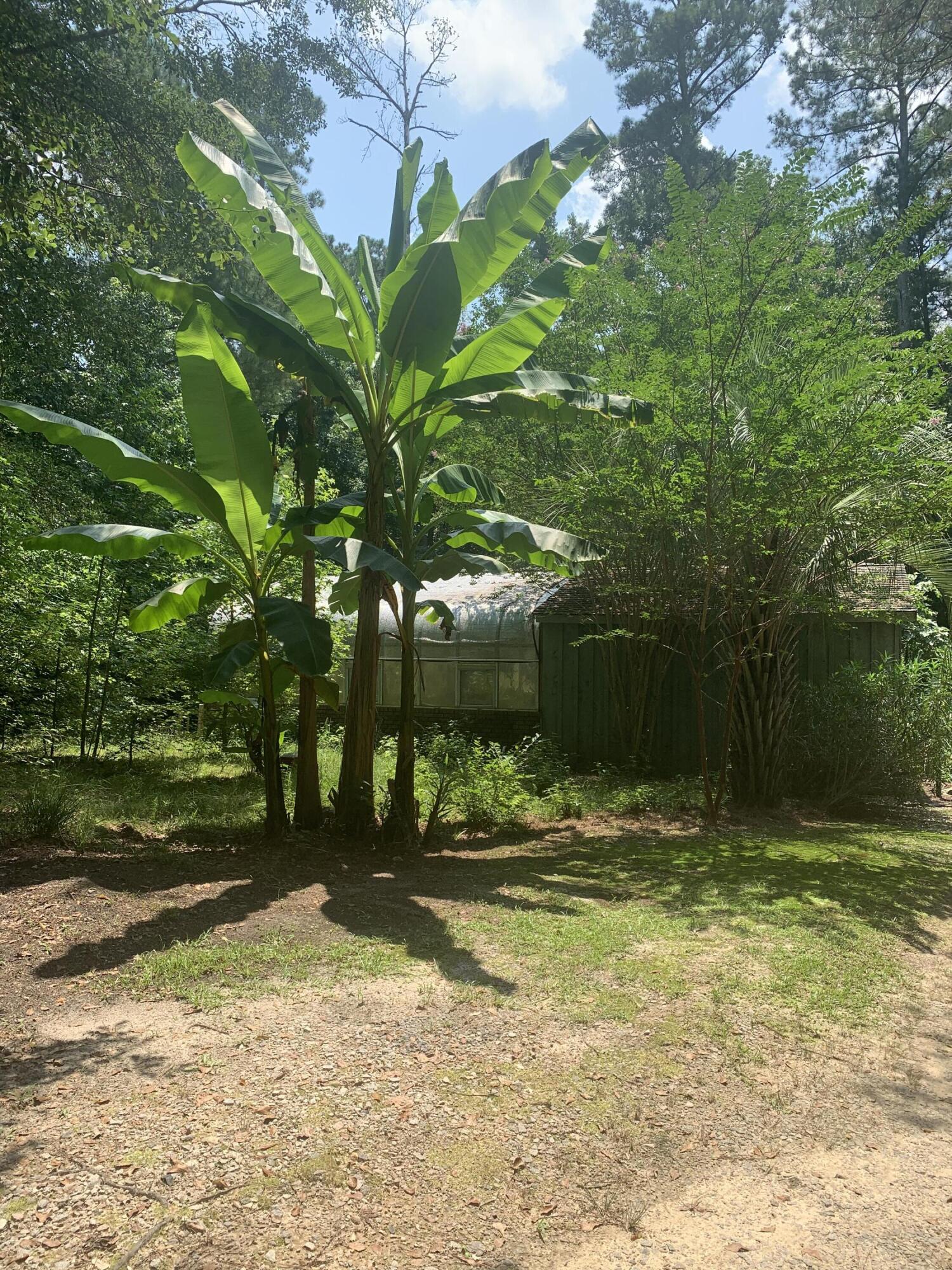 1469 Old 4 Notch Road Ridge Spring, SC 29129 - Photo 28 of 32 Photo Jul 29, 1 11 43 PM