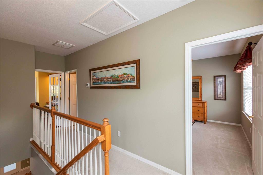 3746 Dogtrot Street New Port Richey, FL 34655 - Photo 24 of 50