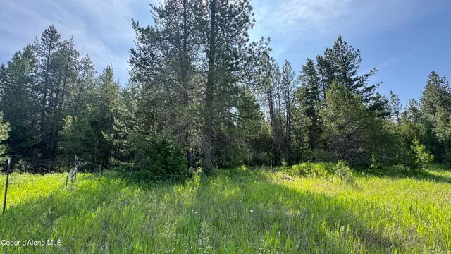 $320,000 | 600 Rock Springs Road, Athol, ID 83801