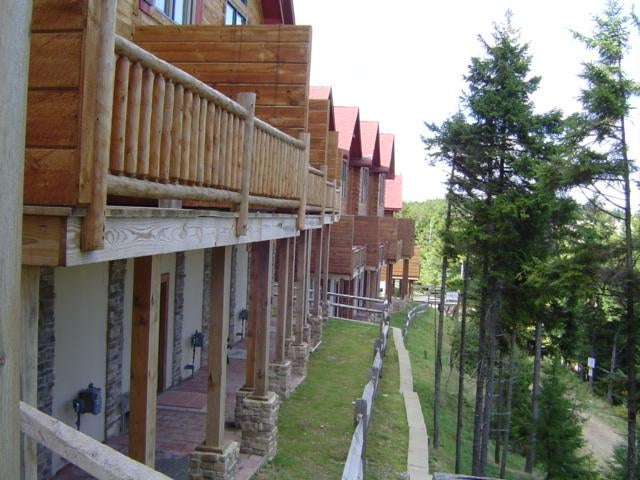 13 Loggers Run Slatyfork, WV 26209 - Photo 2 of 16 Back view slopefront