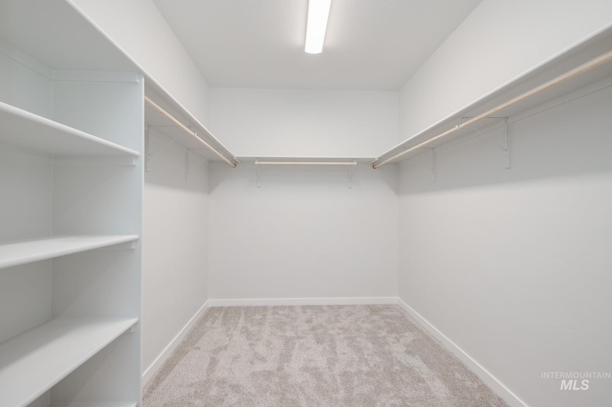 6596 South Banded Eagle Way Boise, ID 83709 - Photo 24 of 28 Spacious closet with carpet flooring