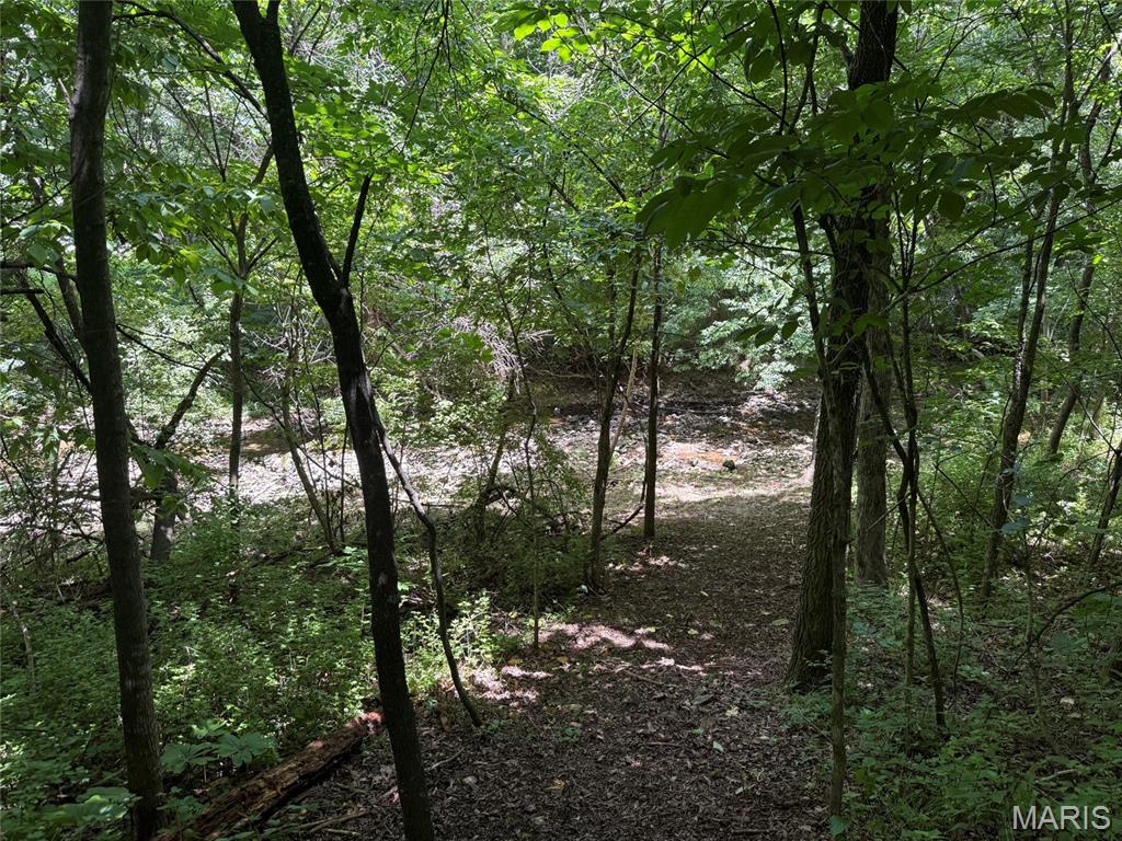 2839 Oberhelman Road Foristell, MO 63348 - Photo 5 of 6
