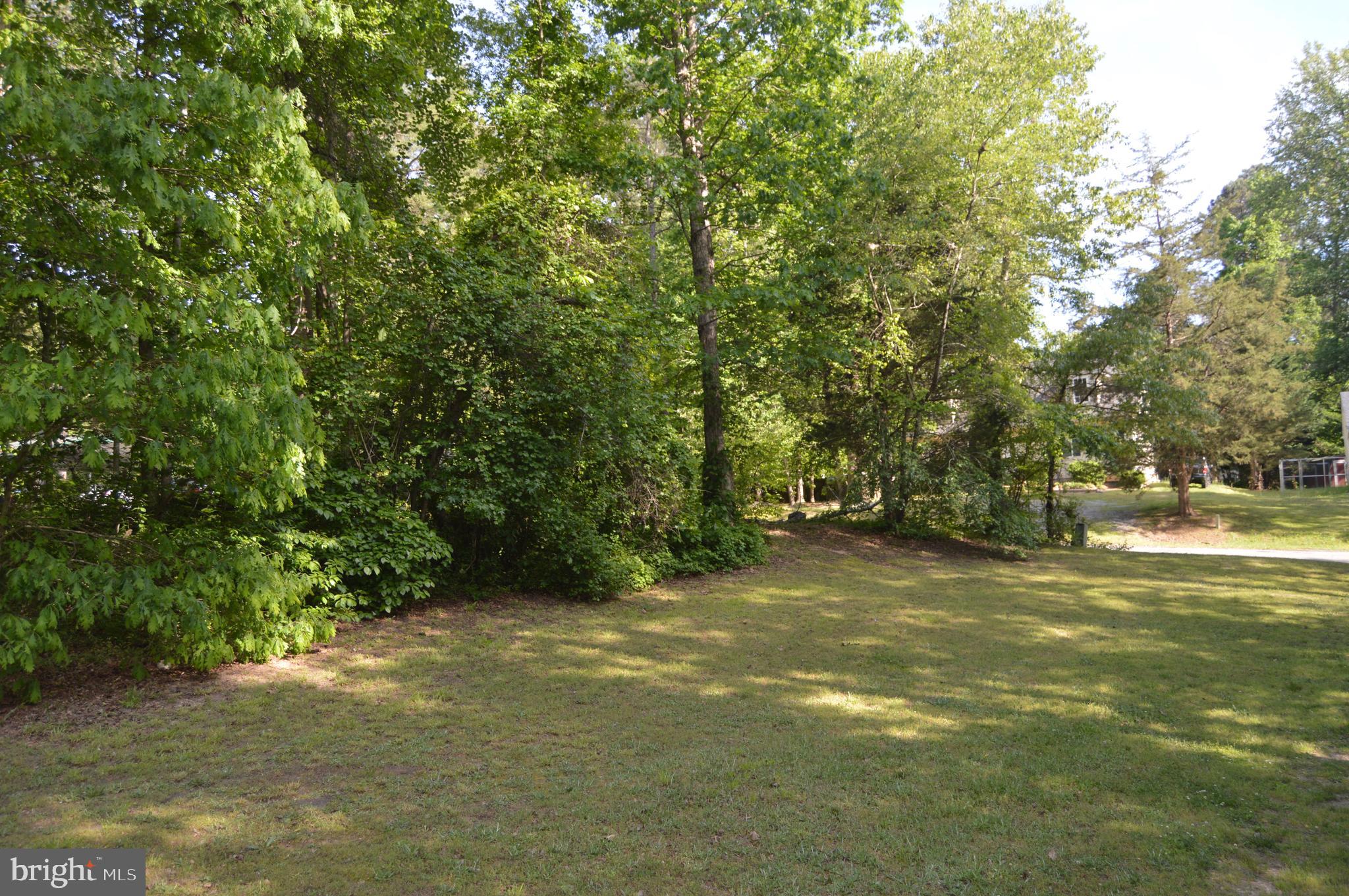 12137 Shortleaf Road Ruther Glen, VA 22546 - Photo 19 of 22 Wooded lot