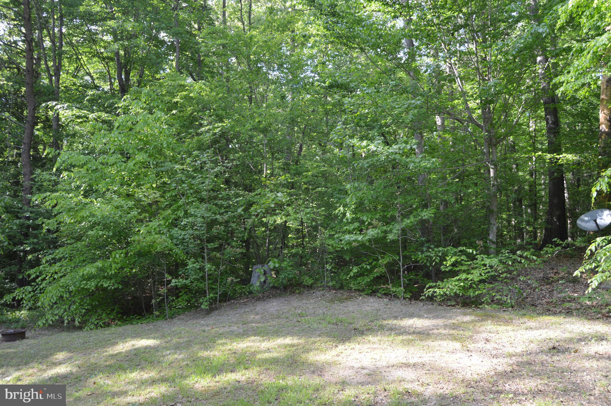 12137 Shortleaf Road Ruther Glen, VA 22546 - Photo 22 of 22 Rear wooded area