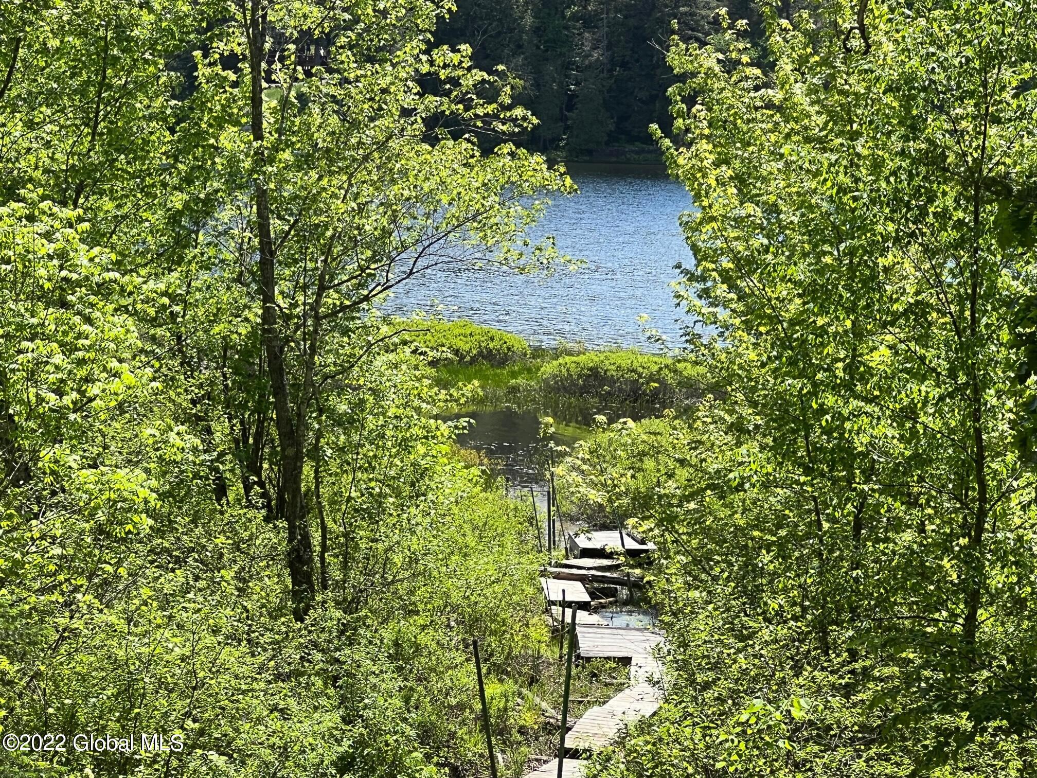 119 Fraternaland Road Paradox, NY 12858 - Photo 5 of 56 IMG_6150