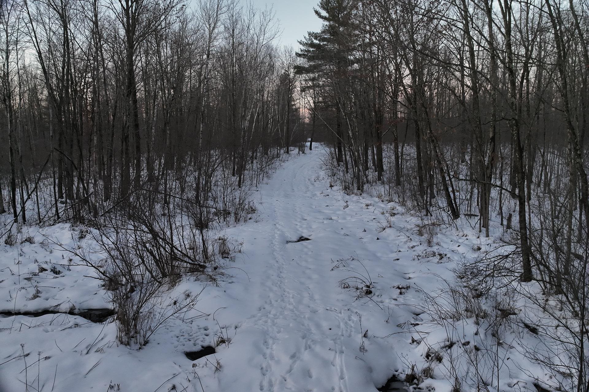 65.32-acres Bobwhite Road Neillsville, WI 54456 - Photo 20 of 26