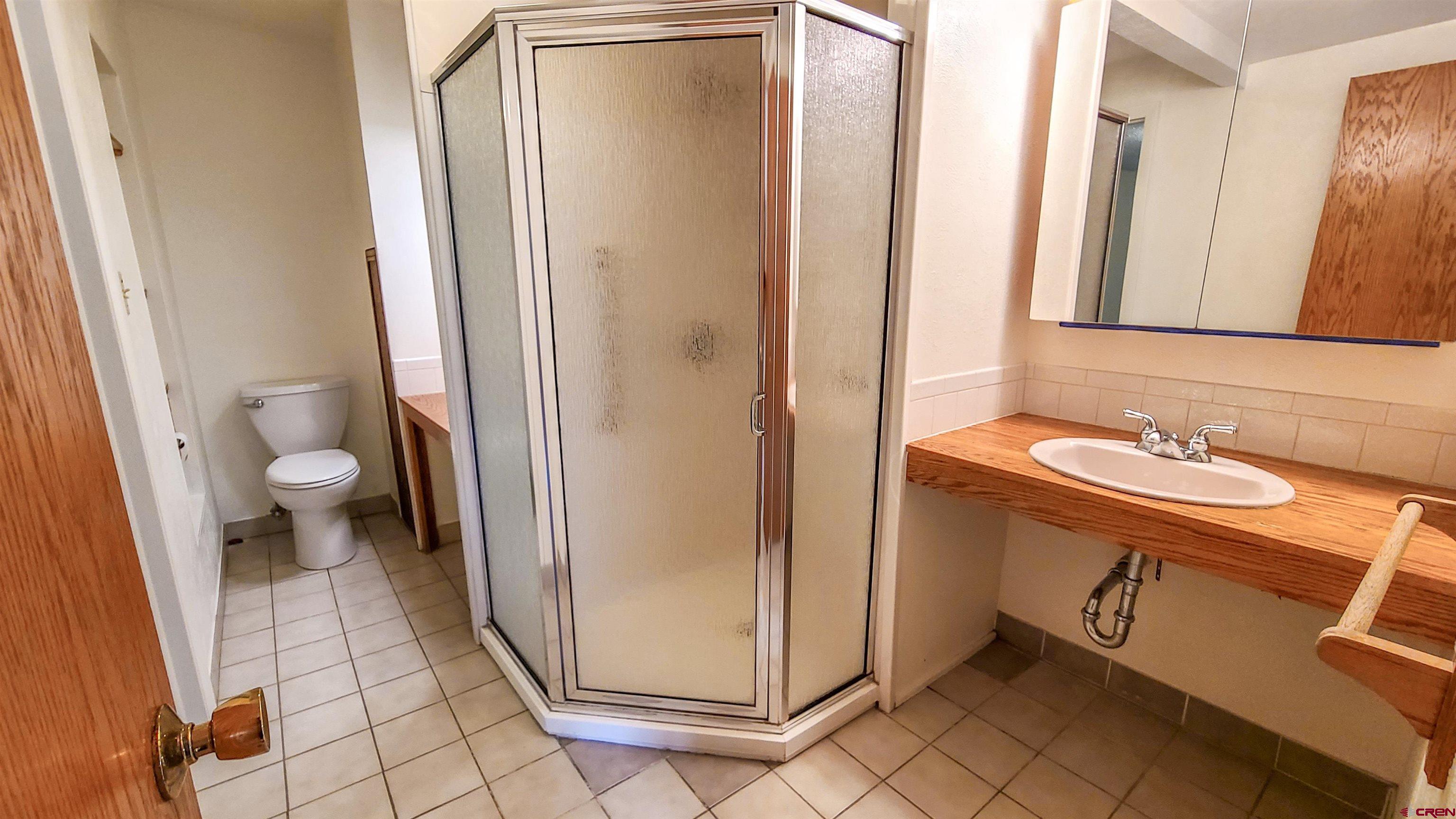 2916 East 7/8 Road Grand Junction, CO 81504 - Photo 21 of 35 a bathroom with a sink a toilet and a mirror