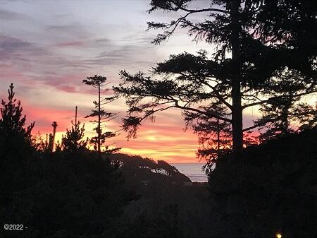 1240 Southwest Sailfish Loop Waldport, OR 97394 - Photo 27 of 29 Sunset view