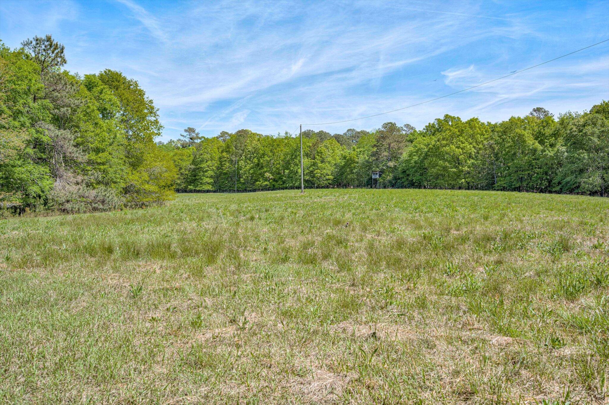 4375 Chamberlain S Ferry Road Lincolnton, GA 30817 - Photo 31 of 56 37-037-