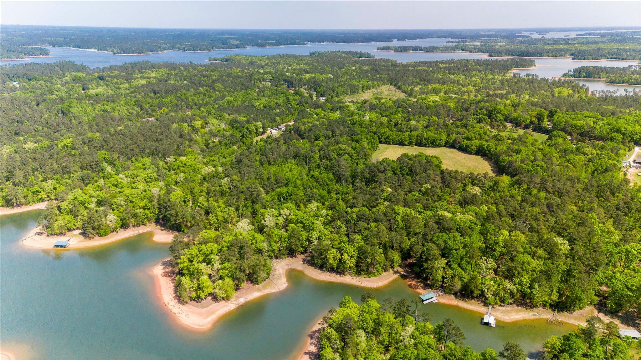 4375 Chamberlain S Ferry Road Lincolnton, GA 30817 - Photo 51 of 56 3