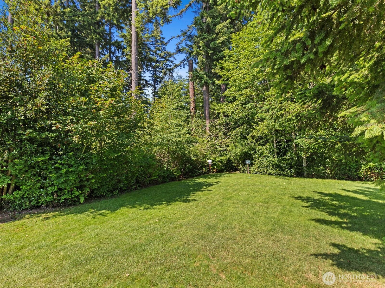 3218 189th Street Southeast Bothell, WA 98012 - Photo 34 of 40 a view of a trees with a yard