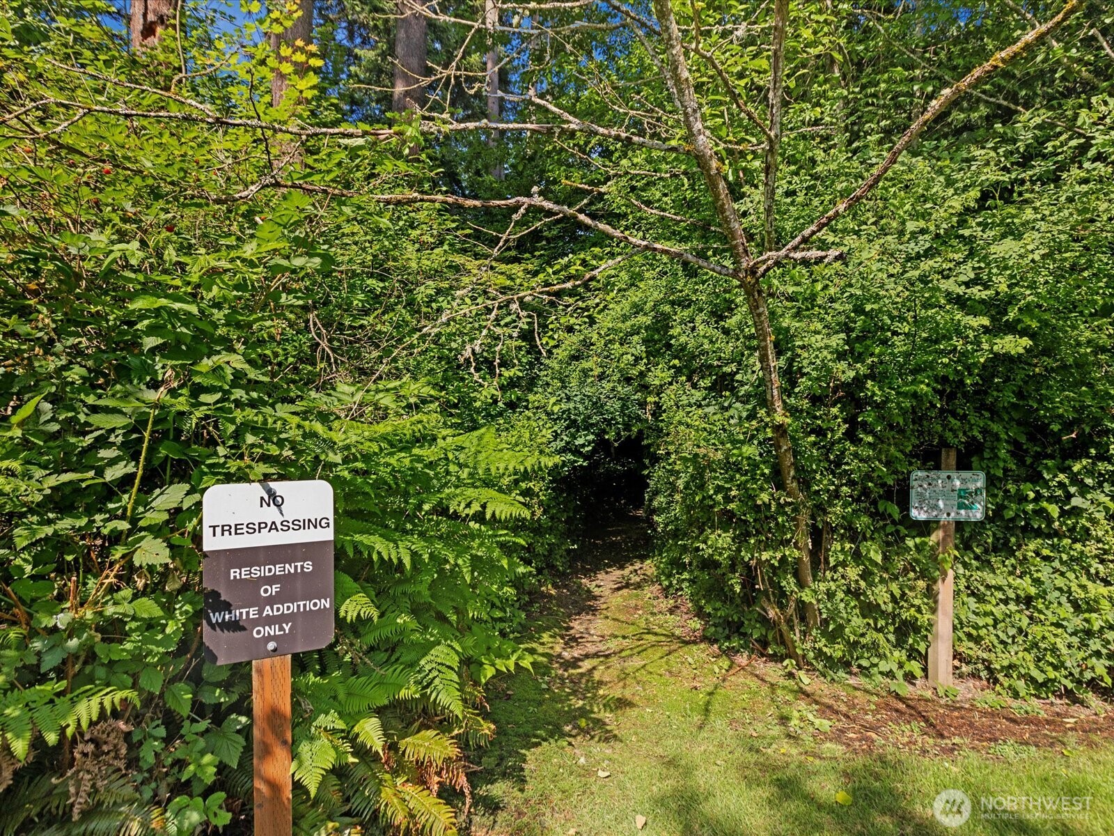 3218 189th Street Southeast Bothell, WA 98012 - Photo 35 of 40 a picture of a tree