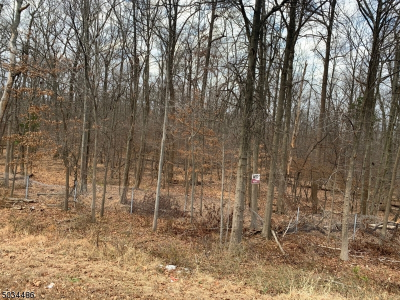 999 Drift Road Berkeley Heights, NJ 07922 - Photo 3 of 4 a view of a yard with large trees