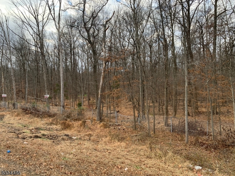 999 Drift Road Berkeley Heights, NJ 07922 - Photo 4 of 4 a view of a yard