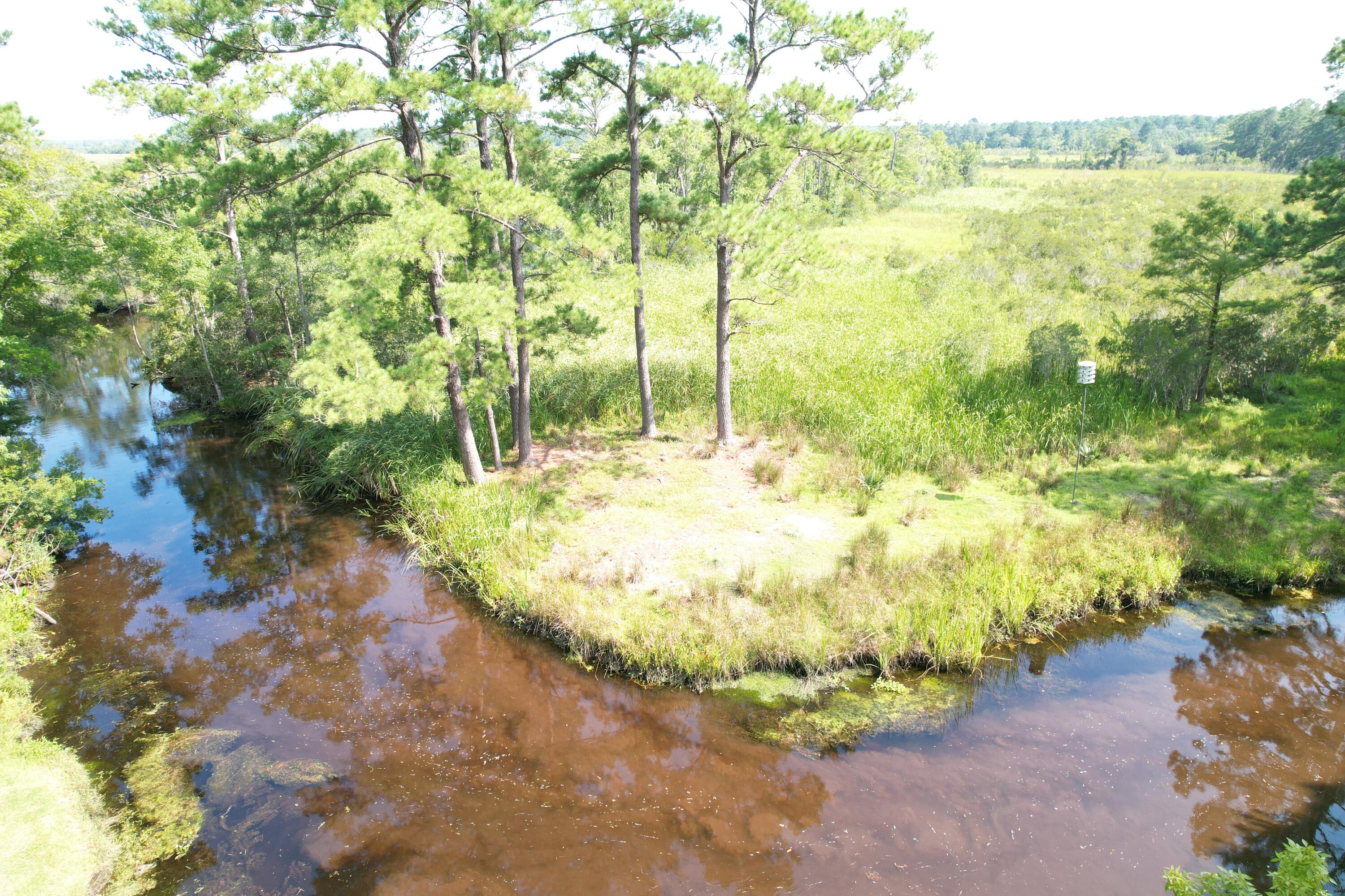 538 Castlebury Road Walterboro, SC 29488 - Photo 40 of 42 water view and across