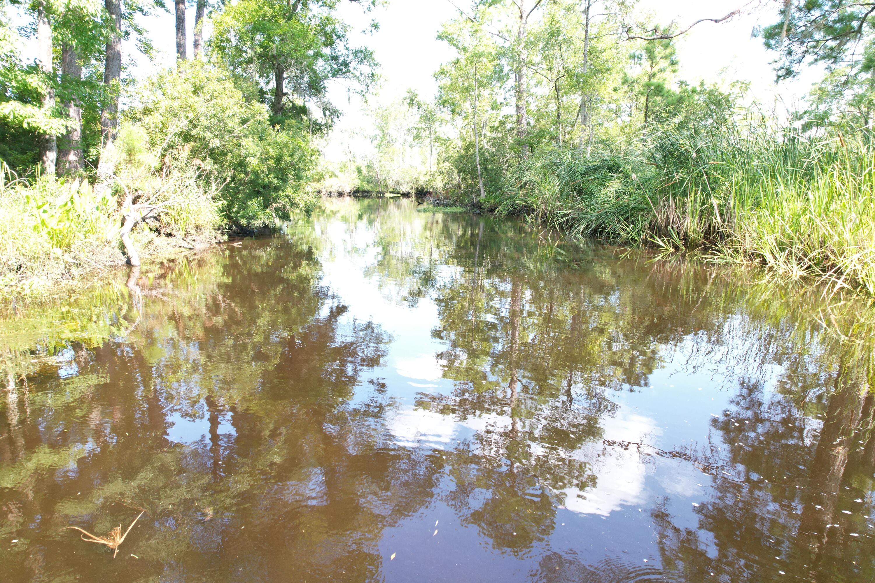 538 Castlebury Road Walterboro, SC 29488 - Photo 41 of 42 DJI_0740