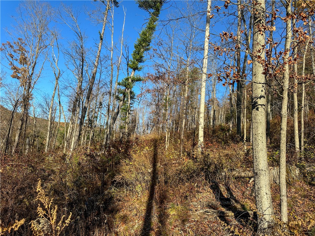 Vl Lot 3 Vl Road Cameron, NY 14819 - Photo 20 of 35