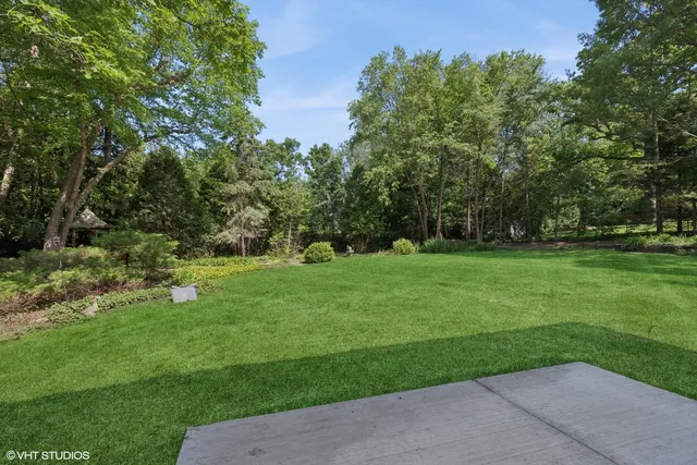 a view of a park with large trees