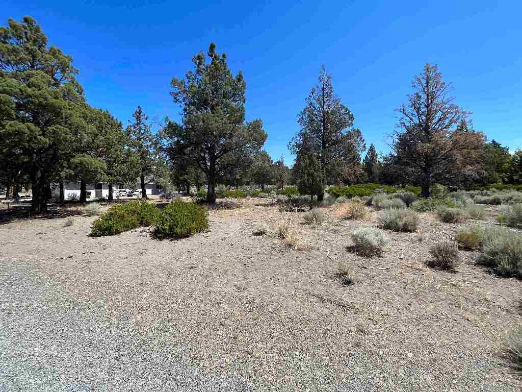 0 Sherwood Road Weed, CA 96094 - Photo 6 of 8 Gallery Image 6
