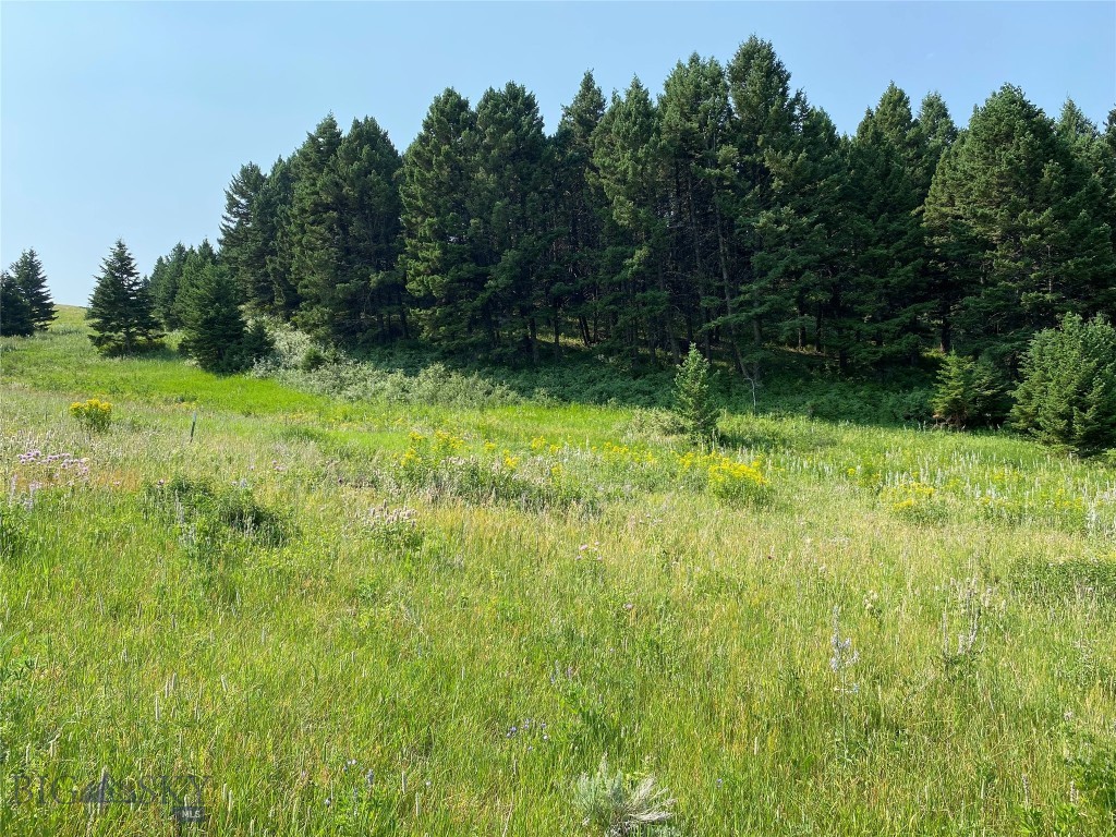 Tbd Moose Meadows Road Livingston, MT 59047 - Photo 1 of 1 Gallery Image 1