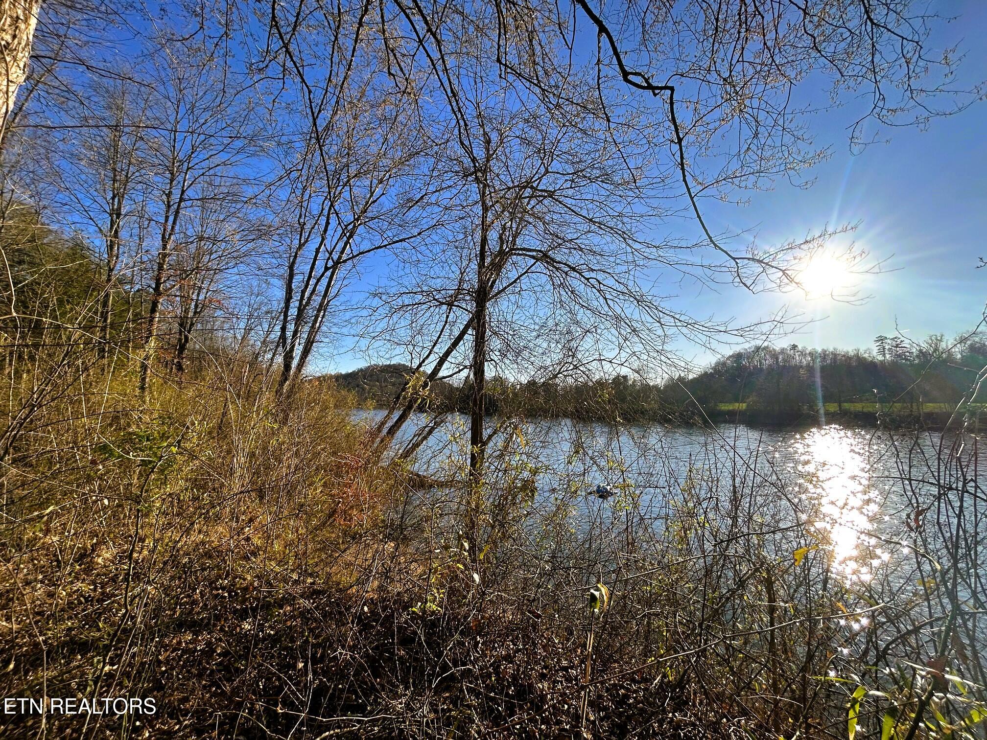 Lot 4 County Road 950 Charleston, TN 37310 - Photo 12 of 15 IMG_0191