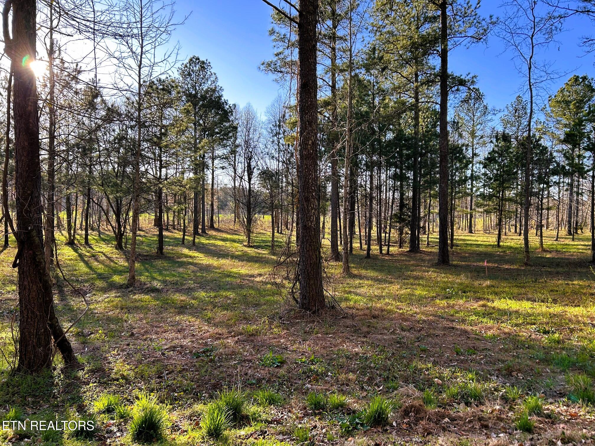 Lot 4 County Road 950 Charleston, TN 37310 - Photo 14 of 15 IMG_0185