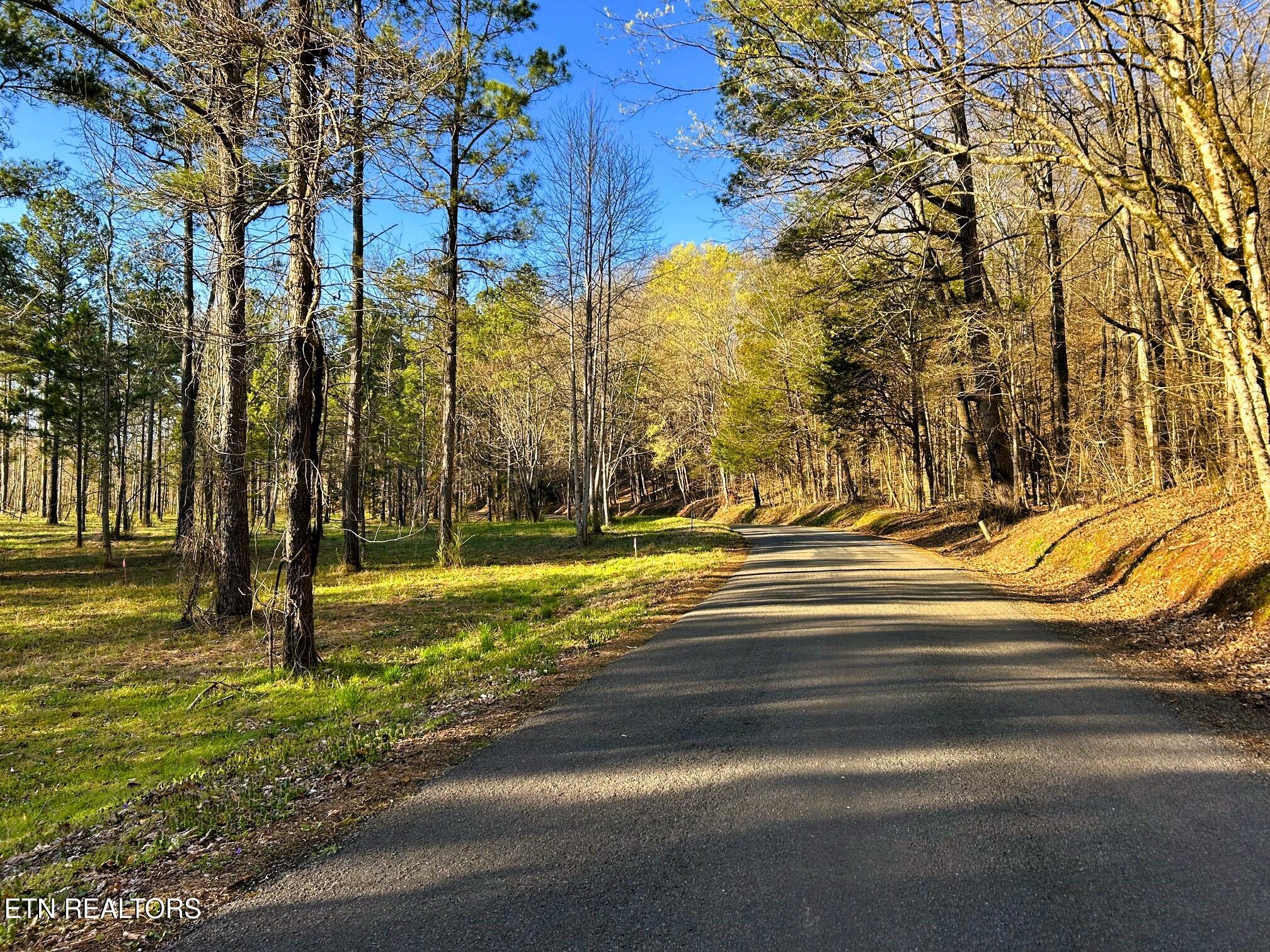 Lot 4 County Road 950 Charleston, TN 37310 - Photo 4 of 15 IMG_0183 (1)