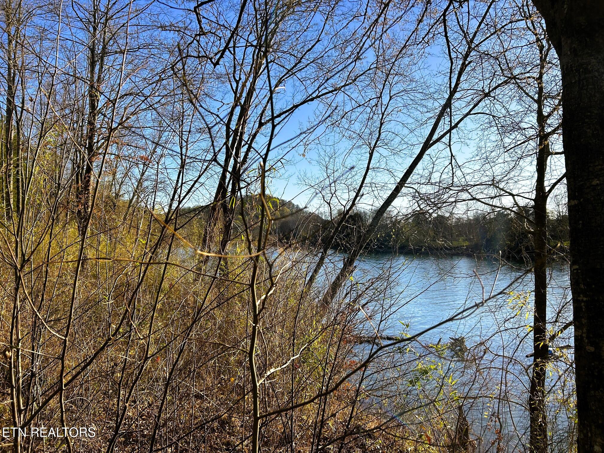Lot 4 County Road 950 Charleston, TN 37310 - Photo 6 of 15 IMG_0194