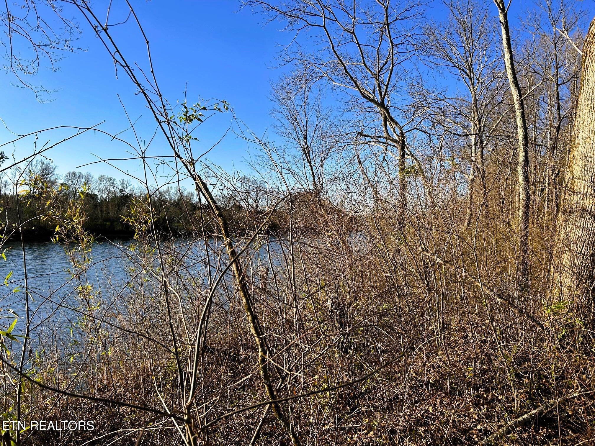 Lot 4 County Road 950 Charleston, TN 37310 - Photo 7 of 15 IMG_0193