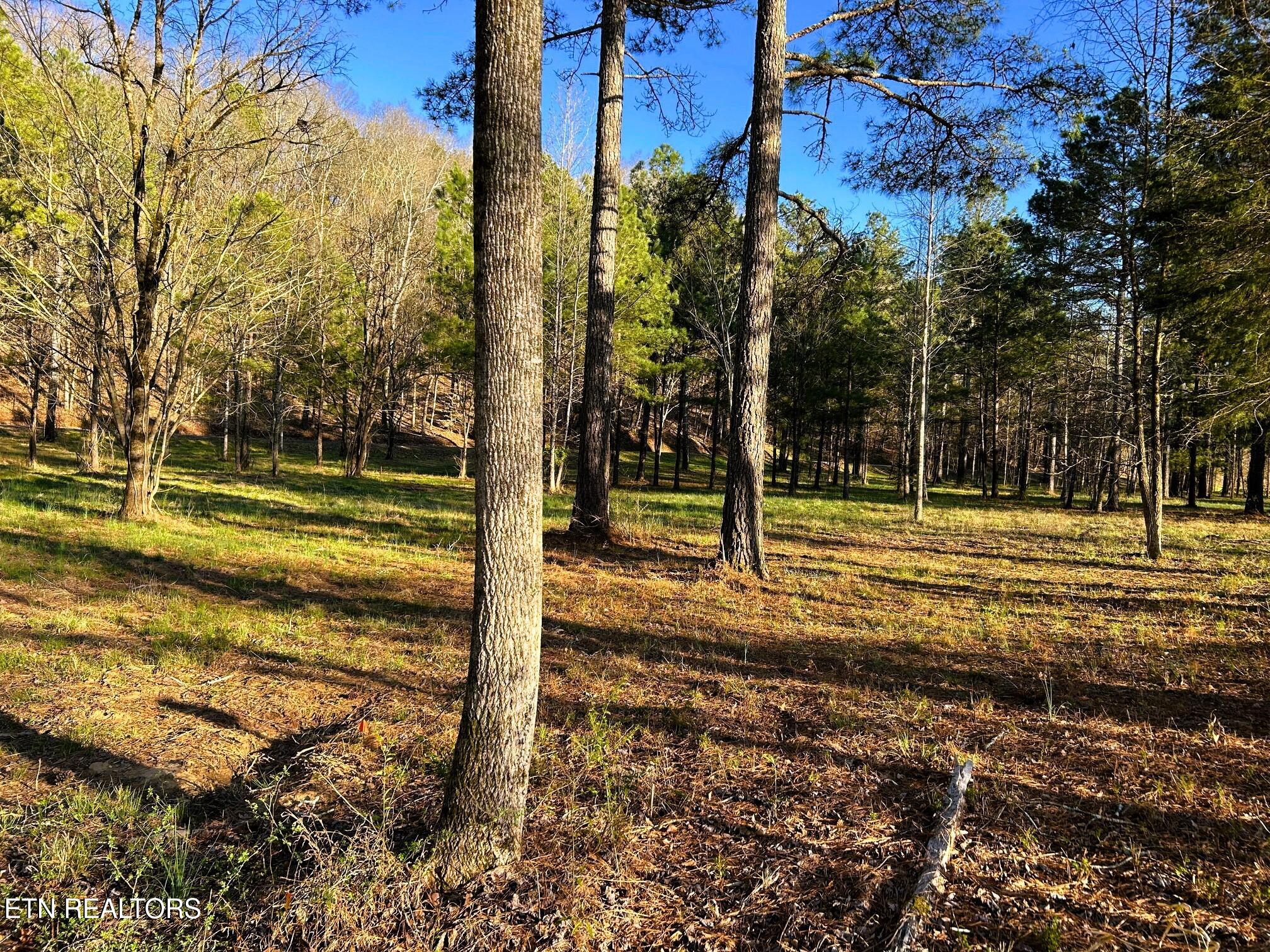 Lot 4 County Road 950 Charleston, TN 37310 - Photo 9 of 15 IMG_0188 (1)