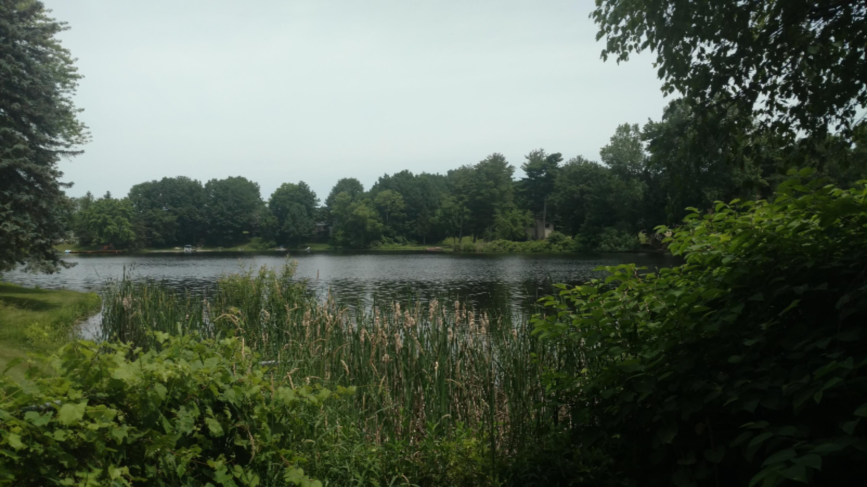 4230 West Stanton Road Stanton, MI 48888 - Photo 2 of 2 IMG_20190630_131918211