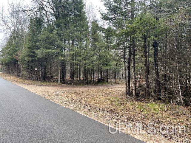 29960 Co Road Cornell, MI 49818 - Photo 2 of 27