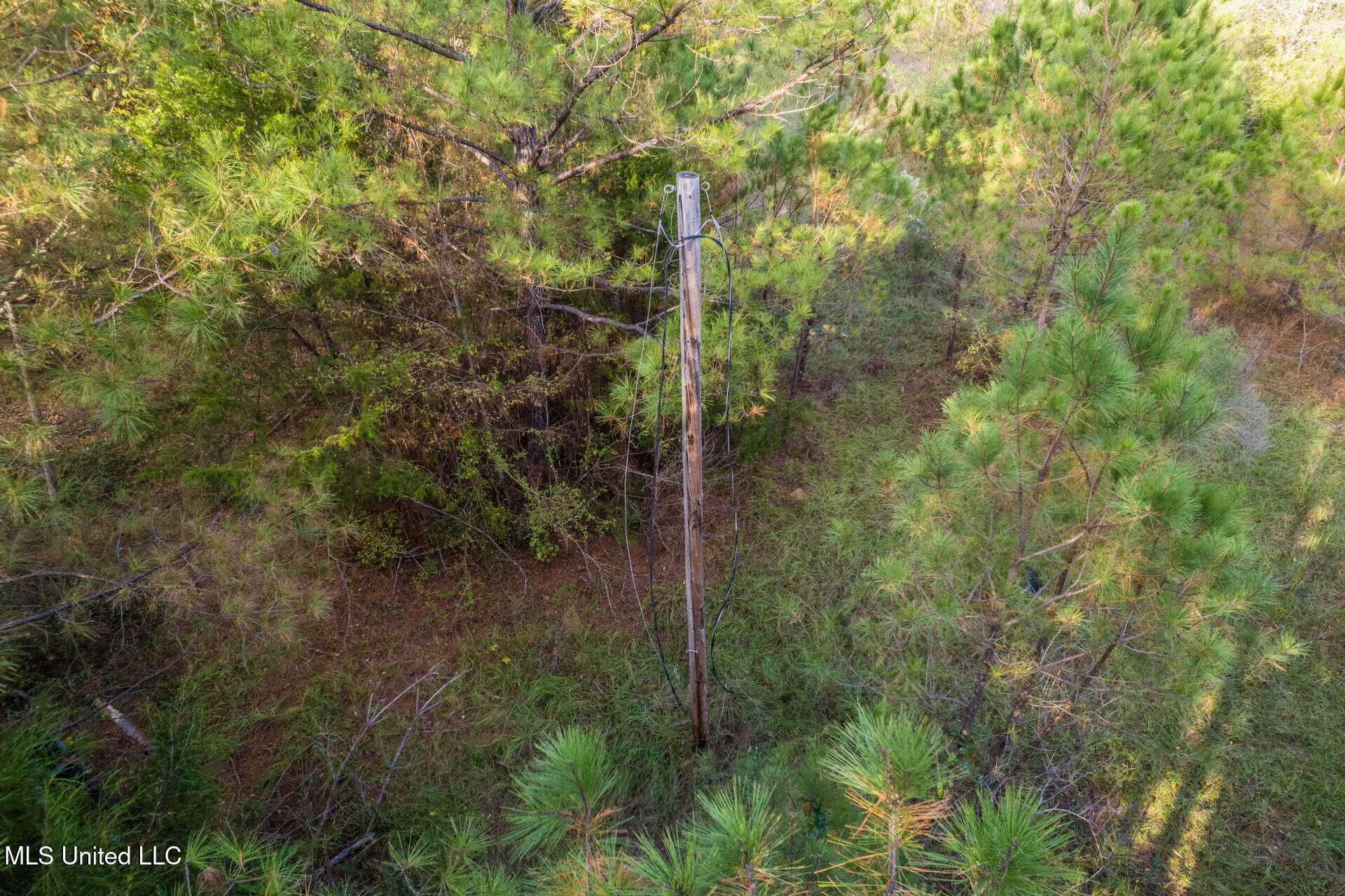 1724 Sharon Road Canton, MS 39046 - Photo 12 of 13 1724SharonRd_50585_12