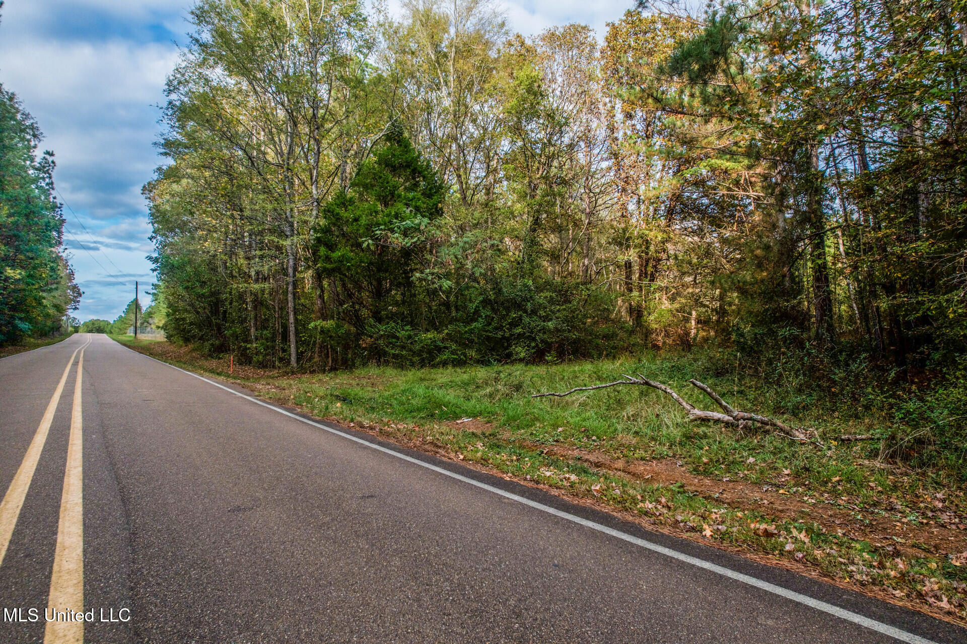 1724 Sharon Road Canton, MS 39046 - Photo 3 of 13 1724SharonRd_50585_3