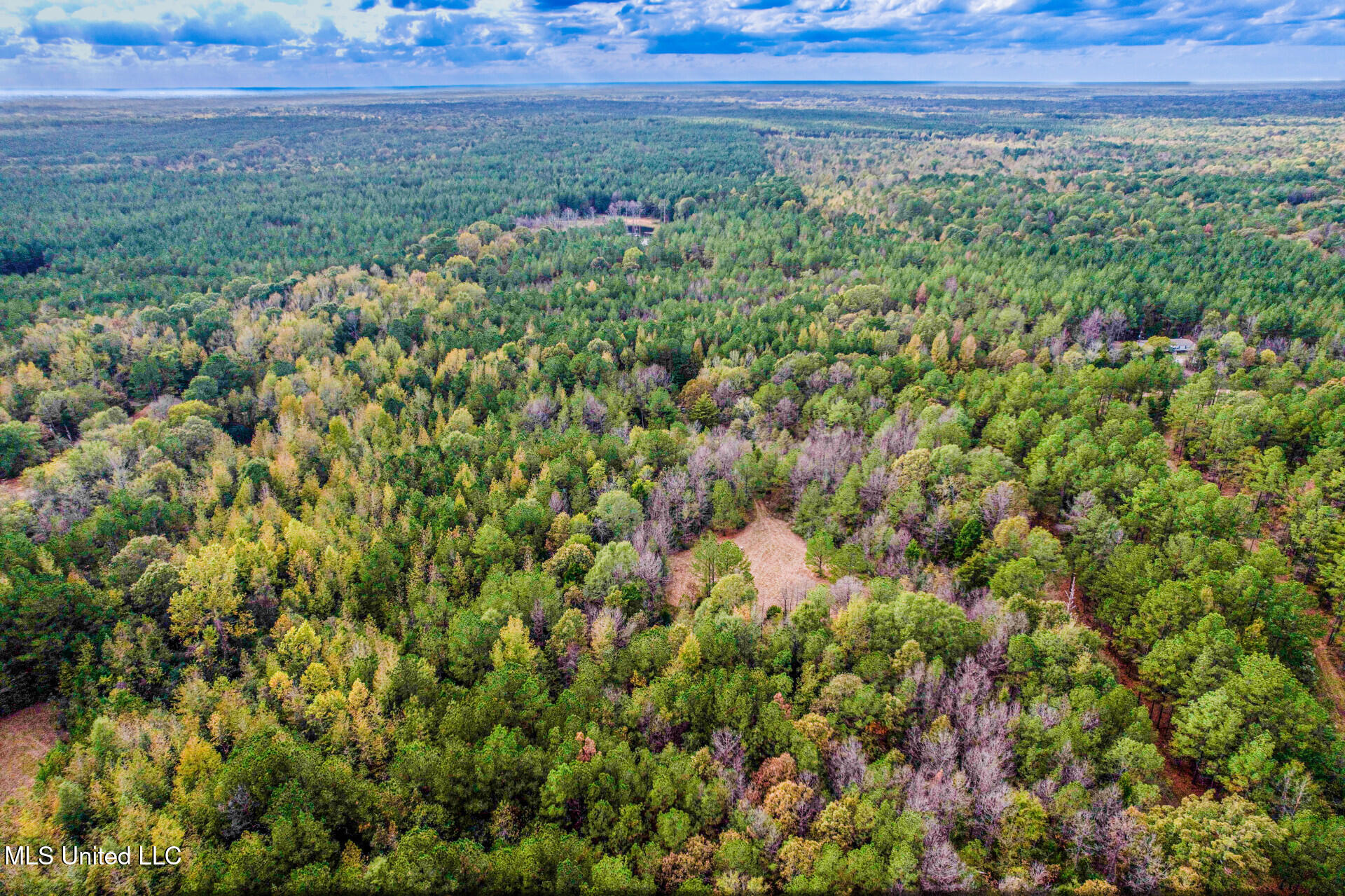 1724 Sharon Road Canton, MS 39046 - Photo 5 of 13 1724SharonRd_50585_5