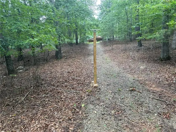 a view of a forest with trees in the background