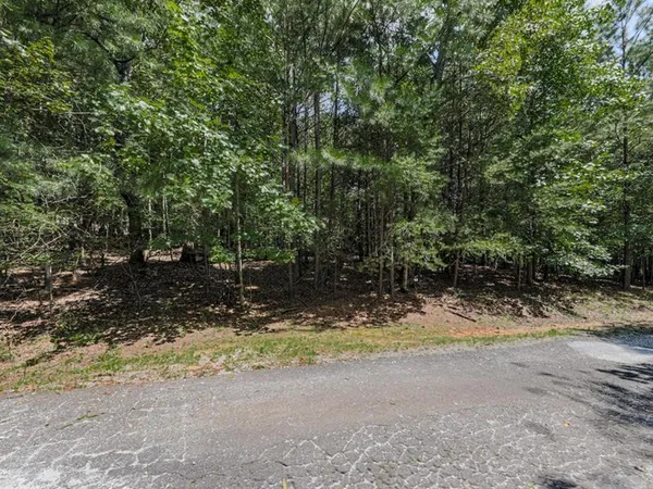 a view of a yard with a tree
