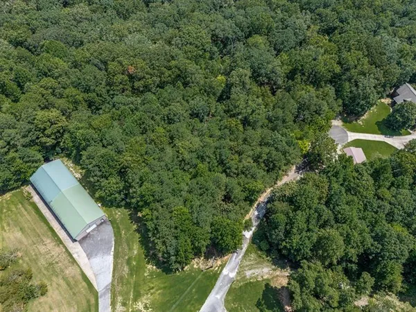 a view of a forest with a house