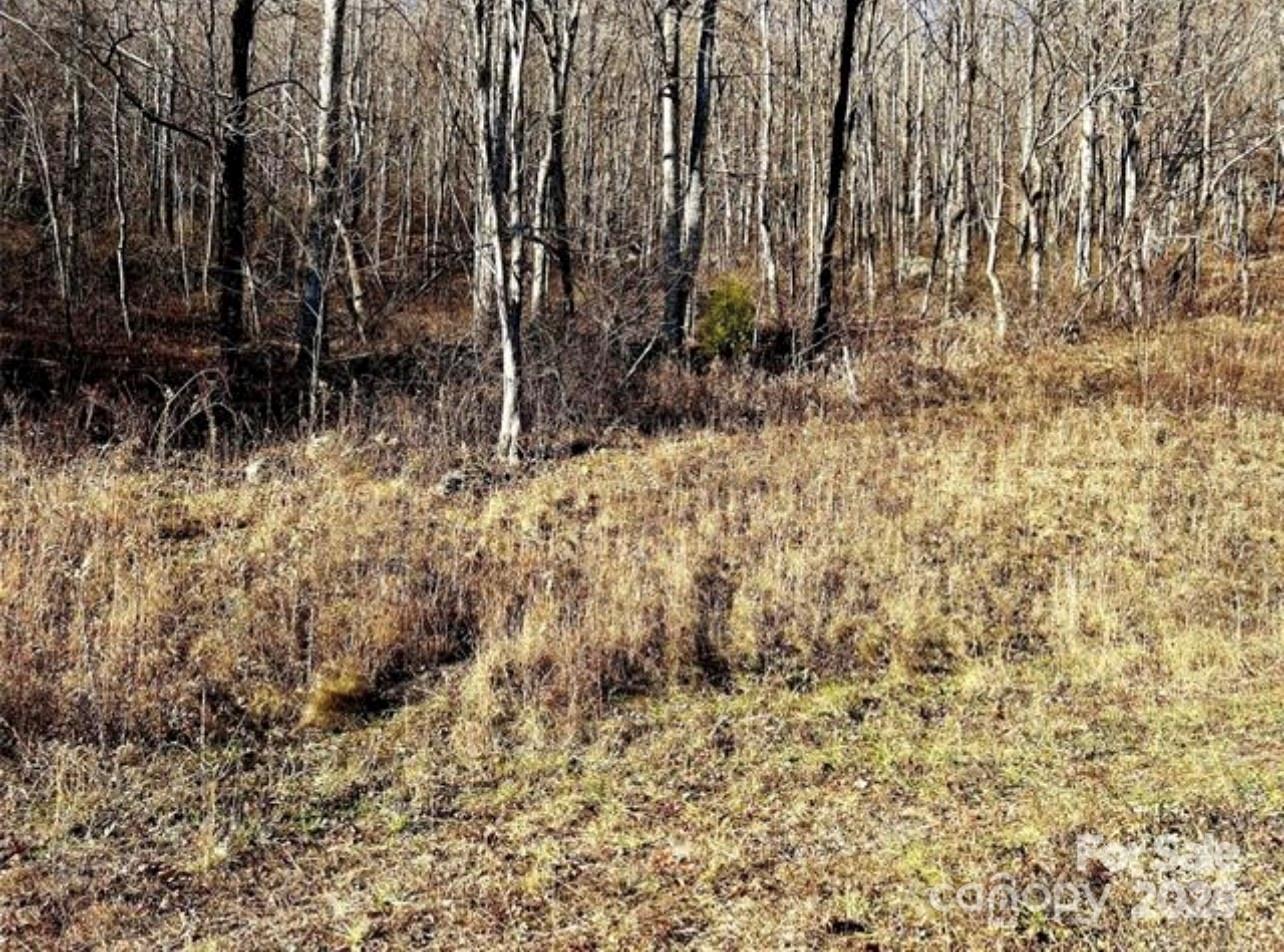 108 Lanning Road Clyde, NC 28721 - Photo 13 of 15