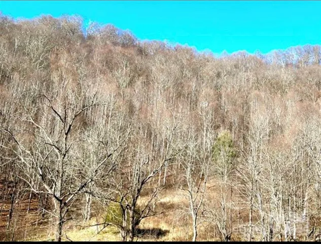 $299,000 | 108 Lanning Road, Clyde, NC 28721