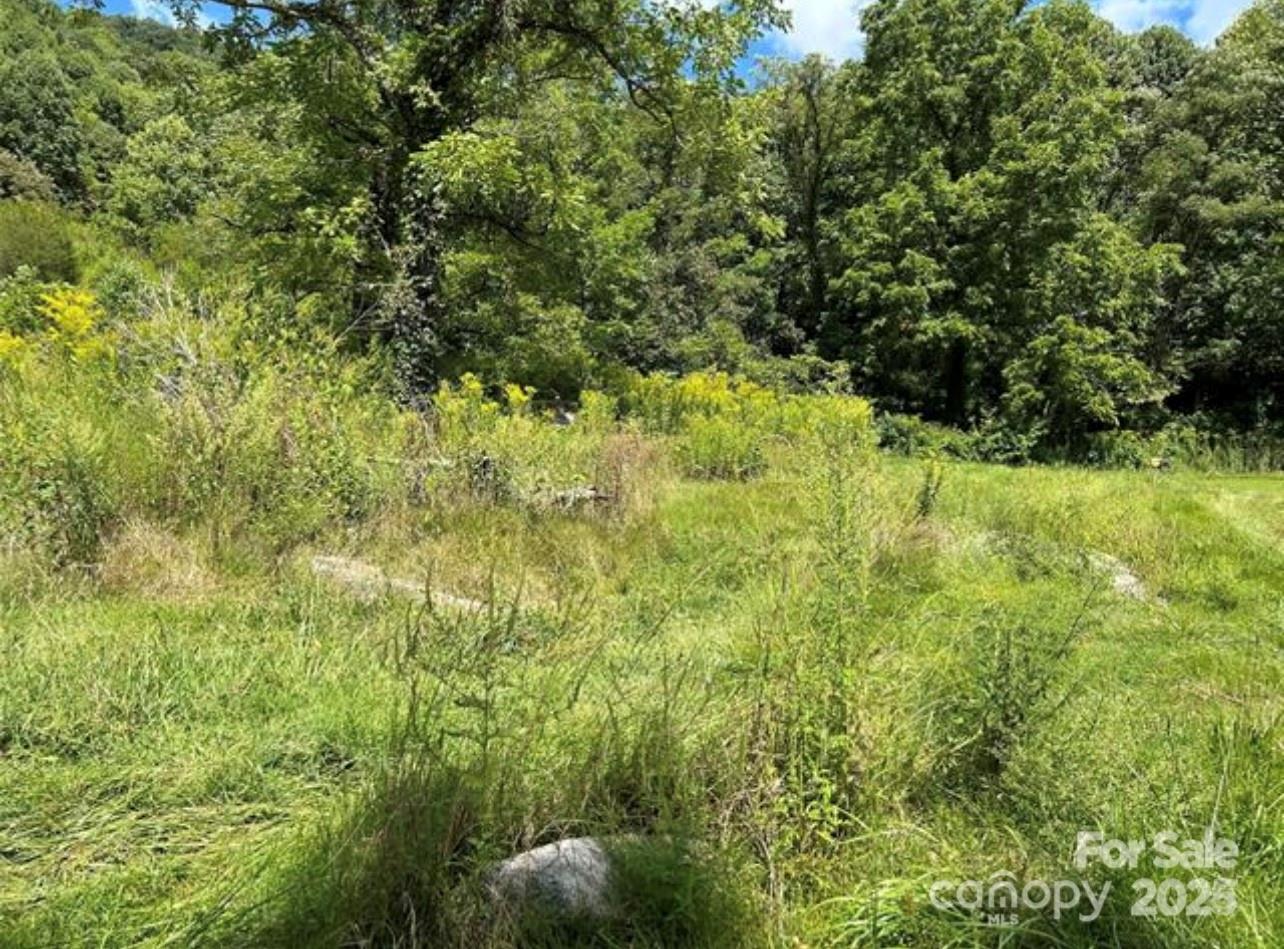 108 Lanning Road Clyde, NC 28721 - Photo 4 of 15